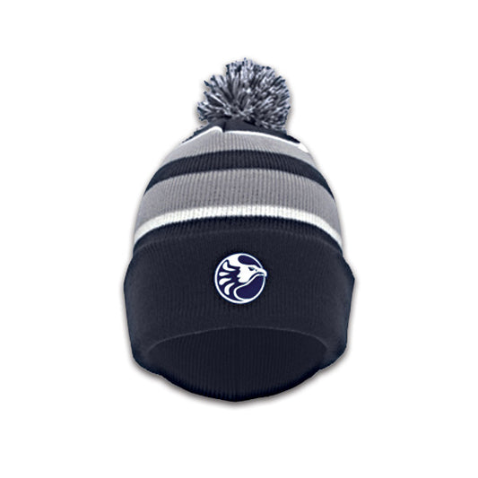 NIGHTHAWKS BEANIE - NAVY/SILVER