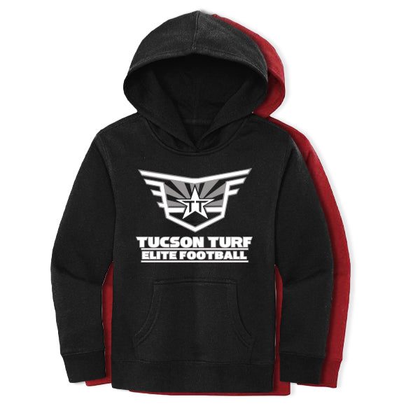 DISTRICT HEAVY FLEECE HOODIE TUCSON TURF