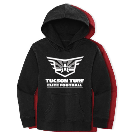 DISTRICT HEAVY FLEECE HOODIE TUCSON TURF