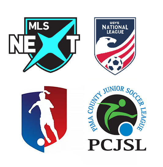 SELECT YOUR TEAM (FCTY)