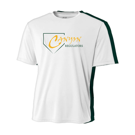 CANYON REGULATORS BASEBALL SS TRIBLEND TEE