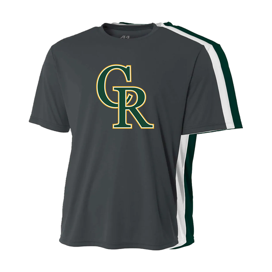 CANYON REGULATORS BASEBALL DRI FIT TEE