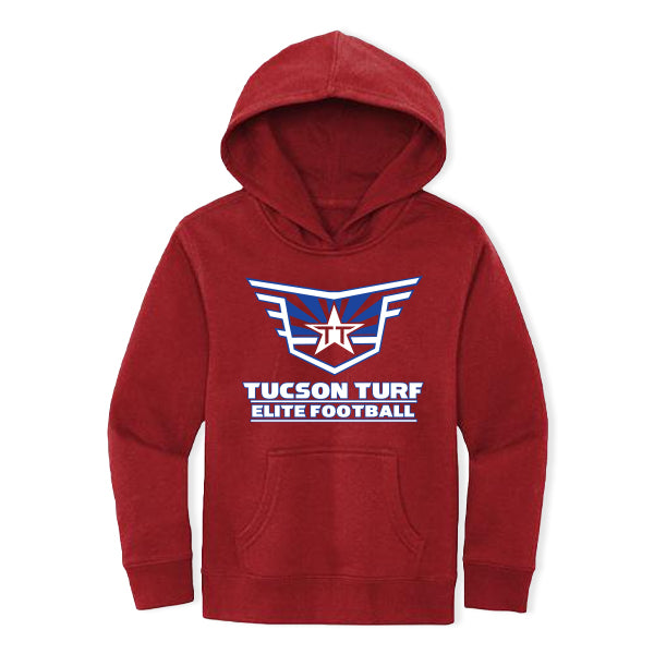 DISTRICT HEAVY FLEECE HOODIE TUCSON TURF