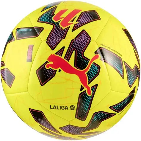 PUMA TRAINING BALL
